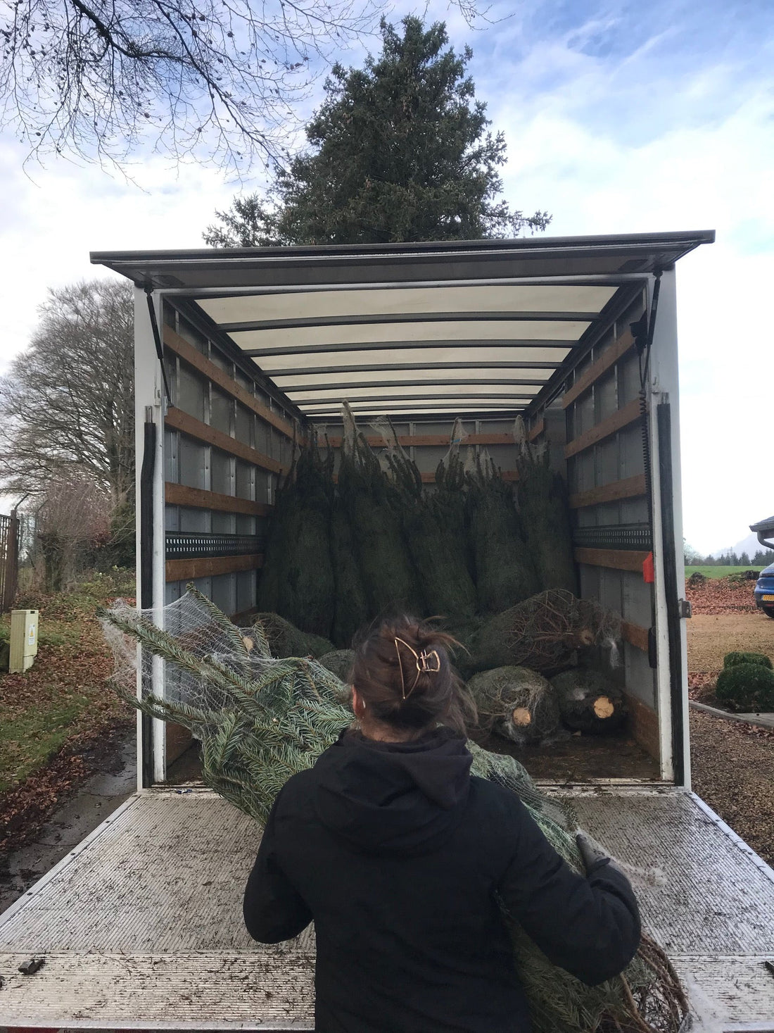 Sapin de Noel en Belgique : Acheter le Meilleur Arbre avec Livraison à Domicile