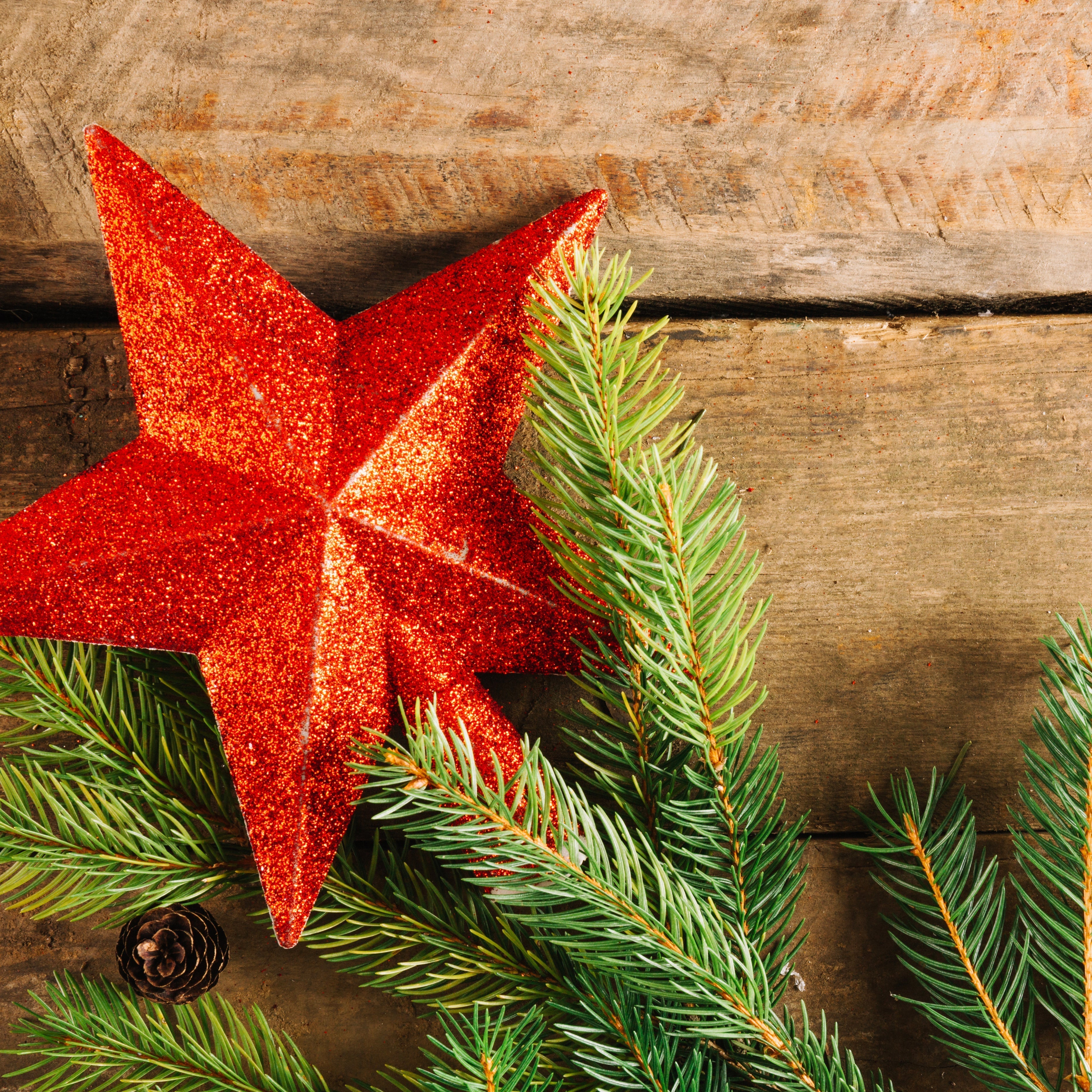 Comment décorer son sapin épicéa : idées féeriques et inspirations magiques pour Noël