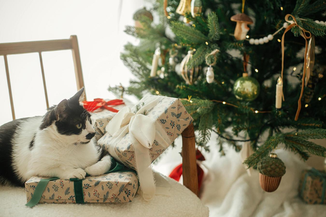 Sécurité et Précautions avec le Sapin de Noël