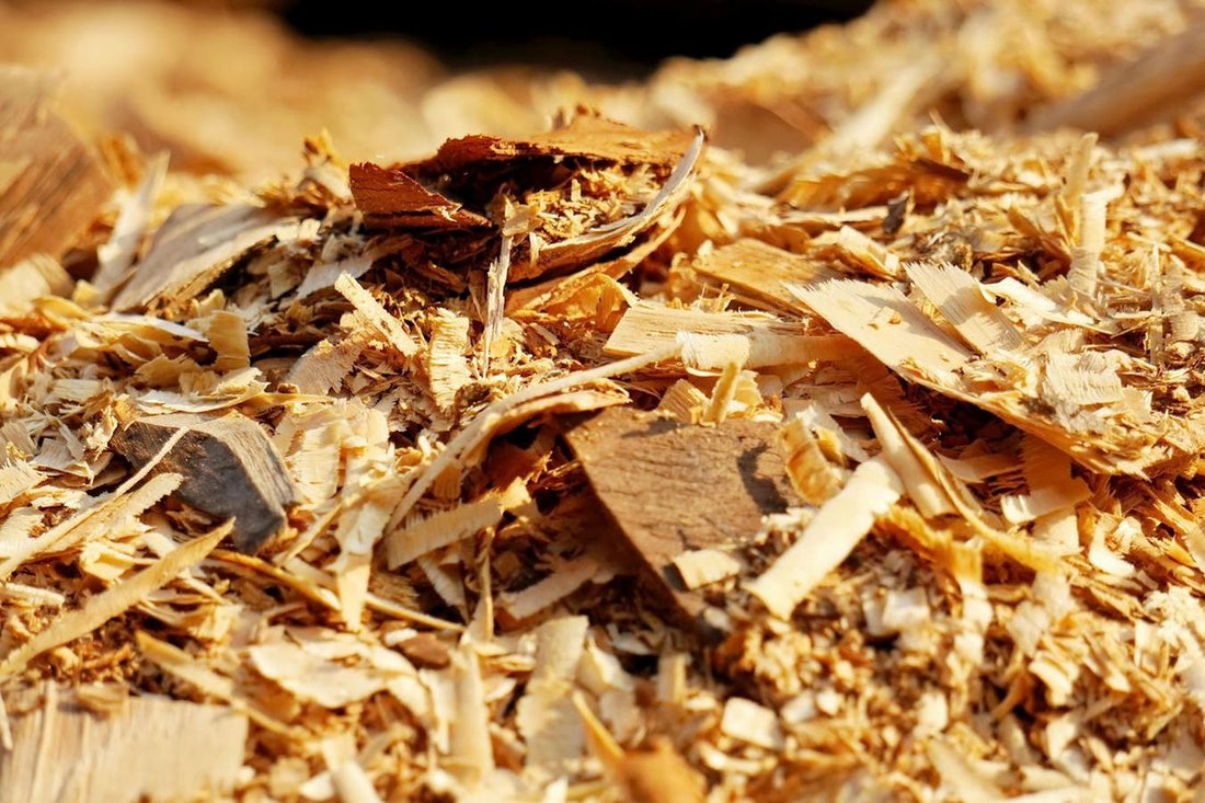 Comment recycler ou réutiliser son sapin après les fêtes ?