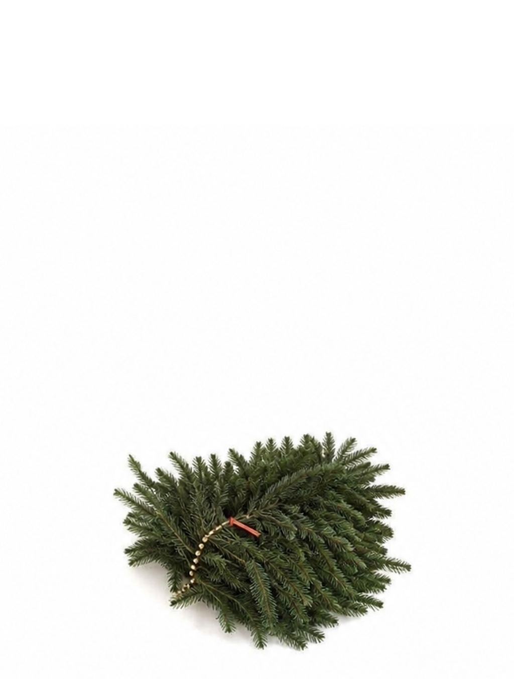 Branches de sapins Nordmann